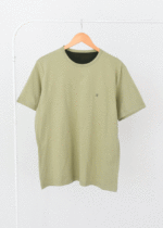 تیشرت رنگی مردانه سبز روشن