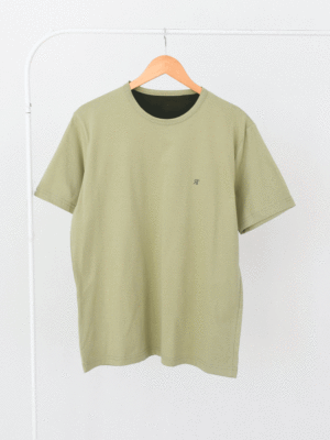 تیشرت رنگی مردانه سبز روشن