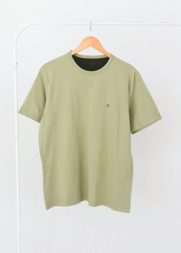 تیشرت-مردانه-ار-تی--(2) تیشرت رنگی مردانه سبز روشن - Image 1