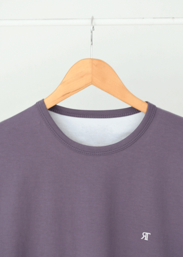 تیشرت رنگی مردانه یاسی تیره - Image 3