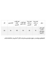 تیشرت راه راه سفید مشکی یقه گرد - Image 5