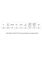 تیشرت کراپ طرح دار کانورس - Image 4