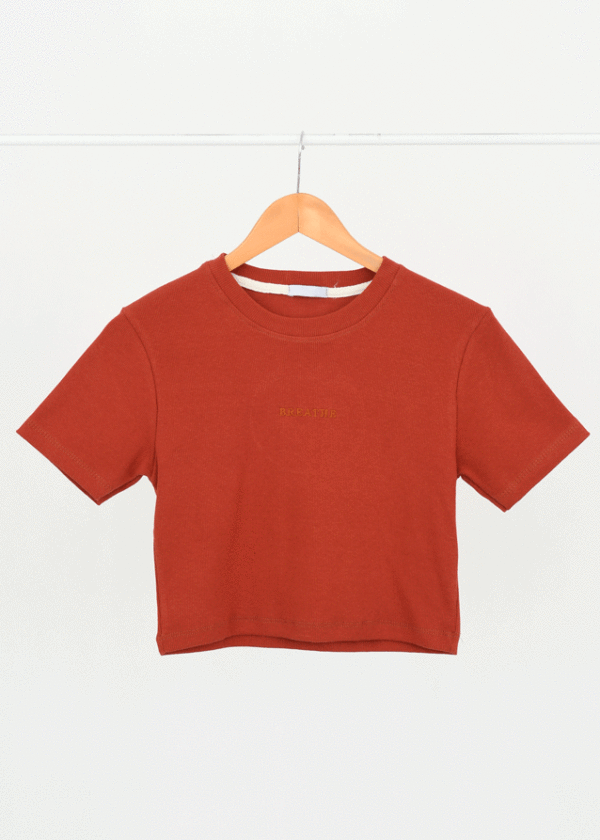 DSC_1156 تیشرت کراپ کبریتی breathe - Image 1