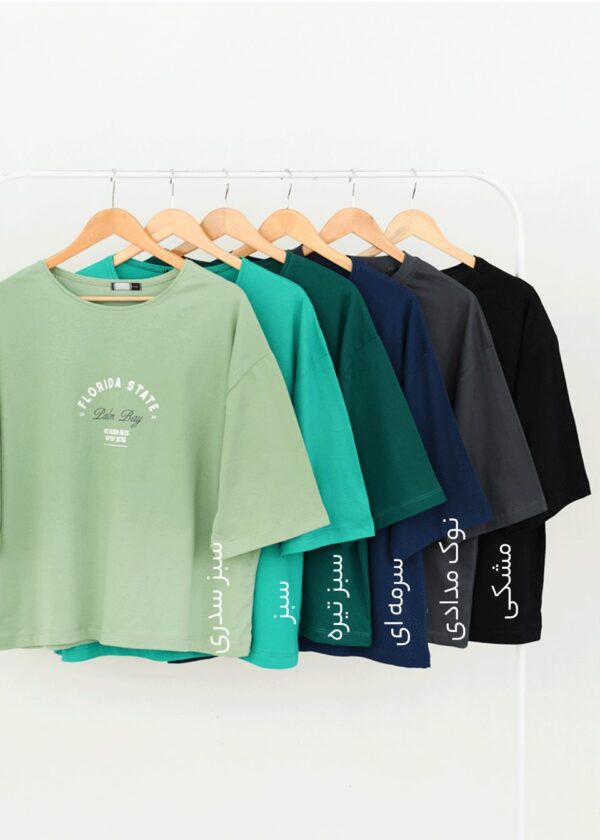 تیشرت باکسی فلوریدا - Image 2