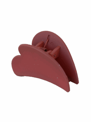 کلیپس مینی قلب