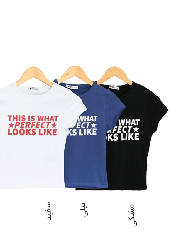 تیشرت پرفکت - Image 2