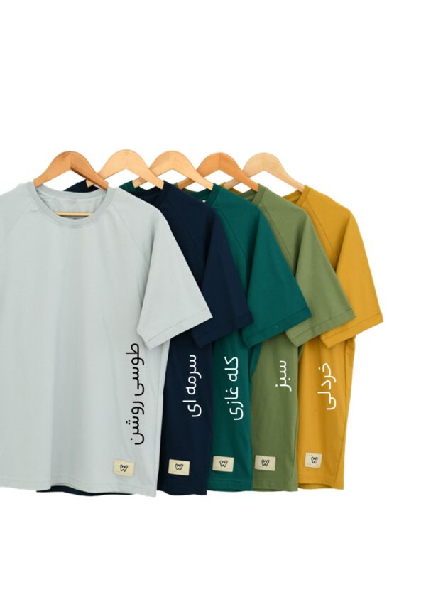 Slide1 تیشرت آستین رگلان مردانه - Image 3