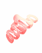 کلیپس پیچی دو رنگ