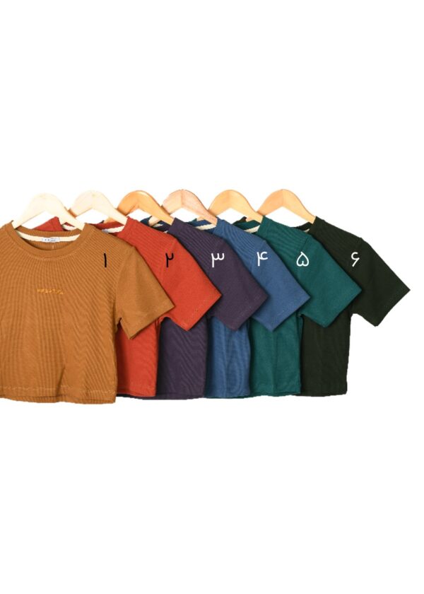 تیشرت کراپ گلدوزی - Image 2