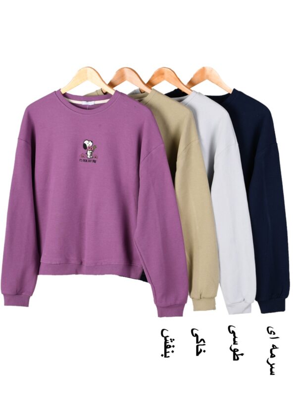 بلوز زنانه بیسکوییتی اسنوپی - Image 2