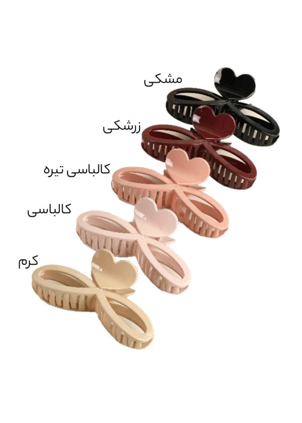 Slide1 کلیپس بی نهایت قلب - Image 2
