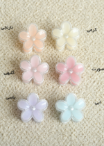 کیلیپس گل شاینی - Image 2